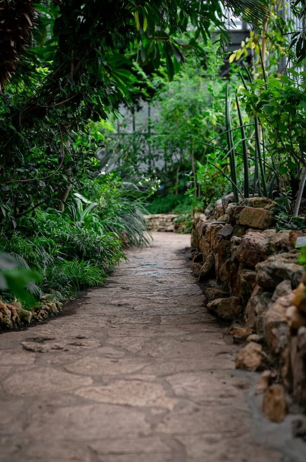 Le jardin botanique: un joyau de biodiversité et de gestion durable des ressources naturelles