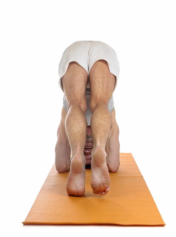 Bien-être et nature : locations au cœur des forêts européennes