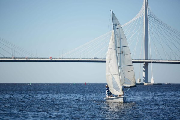 Road trip à travers les vignobles de la Napa Valley en Californie : dégustation de vin et paysages pittoresques