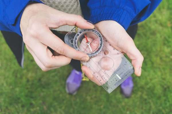 Découverte de la vie marine en Méditerranée : plongée avec les dauphins et les tortues