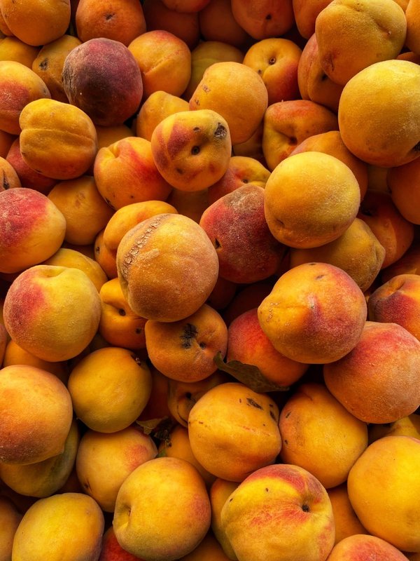 Quelles sont les meilleures techniques de pêche en camping en eau douce ?